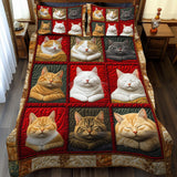 Set di Biancheria da Letto Trapuntata 3 Pezzi Sogni Accoglienti del Gatto