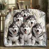 Malamute Artico Coperta Trapuntata