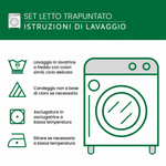 Immagine diapositiva