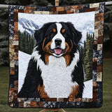 Compagno di Montagna del Bovaro del Bernese Coperta Trapuntata