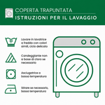 Immagine diapositiva