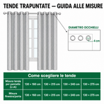 Immagine diapositiva