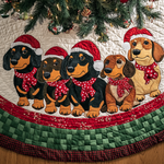 Immagine diapositiva