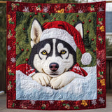 Sguardo Festivo Coperta Trapuntata