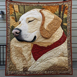 Cane Coperta Trapuntata