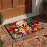 Golden Retriever in Dono Zerbino