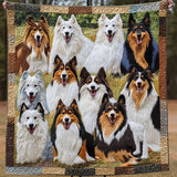 Sentieri Aggraziati del Collie Coperta Trapuntata