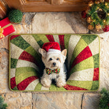 Terrier delle Feste Zerbino