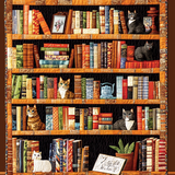 Biblioteca del Gattino Coperta Trapuntata