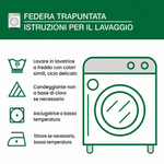 Immagine diapositiva