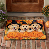 Cuccioli di Golden Retriever Zerbino