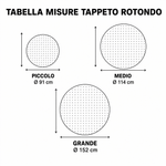 Immagine diapositiva