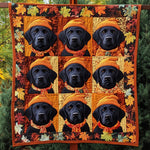 Immagine diapositiva