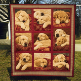 Retriever Assonnati Coperta Trapuntata