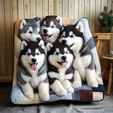 Malamute nella Neve Coperta Trapuntata