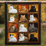 Gattino Stellato Coperta Trapuntata