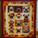 Carlino con Maglione Coperta Trapuntata