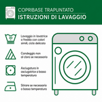 Immagine diapositiva