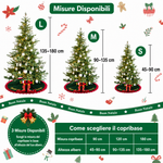 Immagine diapositiva