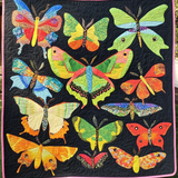 Ali di Colore Quilt Artistico da Parete
