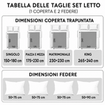 Immagine diapositiva