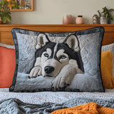 Sogno Husky Federa Trapuntata